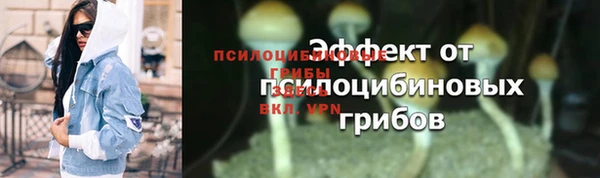 гидропоника Армянск