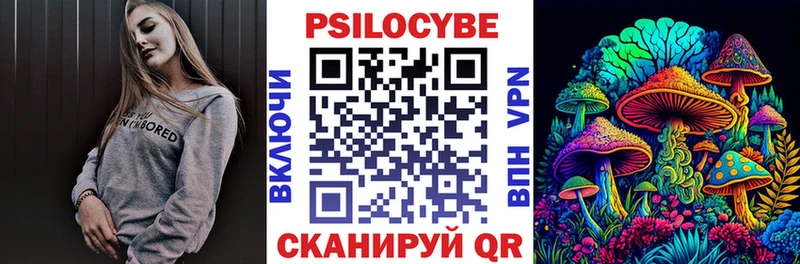 Купить где  Новосиль  Псилоцибиновые грибы мухоморы 